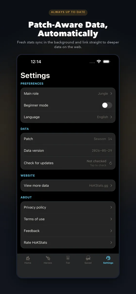 HoKStats app settings screen